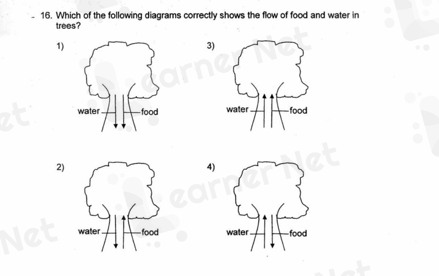 Latest P3 Learning Material