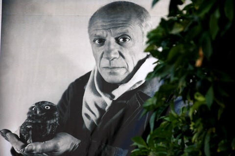 Profile photo of Pablo Picasso