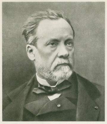 Profile photo of Louis Pasteur