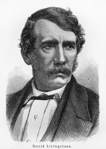 Profile photo of David Livingstone