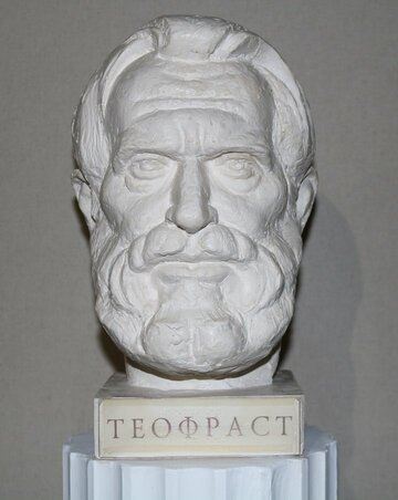 Profile photo of Theophrastus